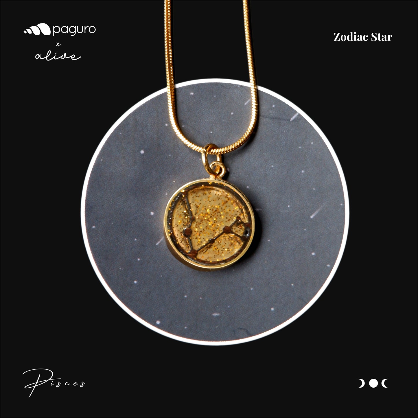 Pisces Zodiac Sign Sustainable Necklace-2