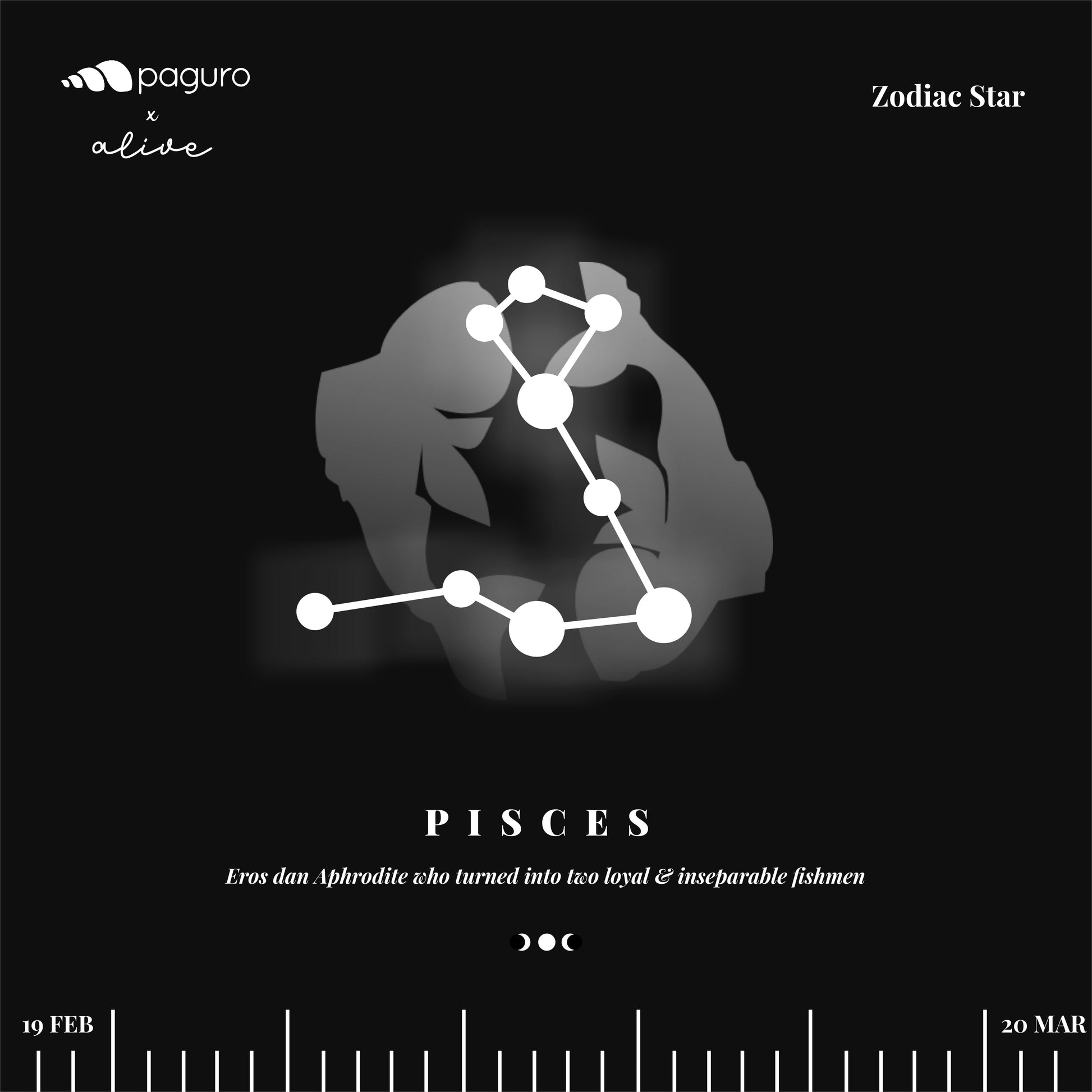 Pisces Zodiac Sign Sustainable Necklace-3